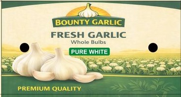 Bounty Garlic Pure White