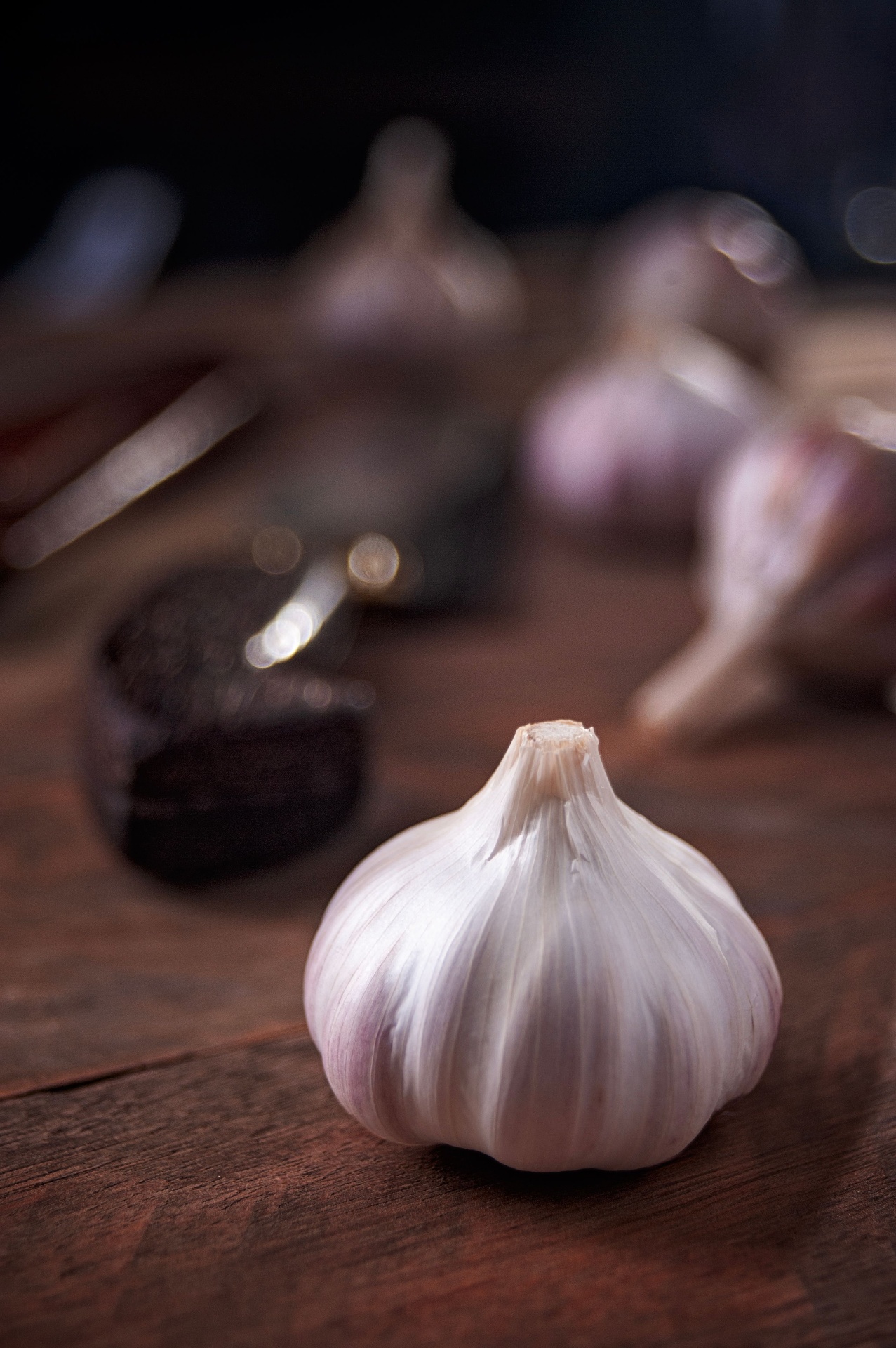 Premium Garlic Supply