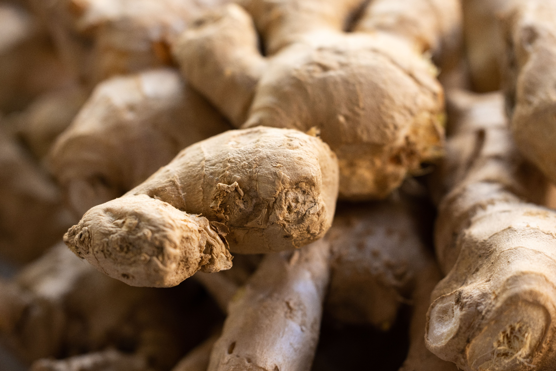 Premium Quality Ginger